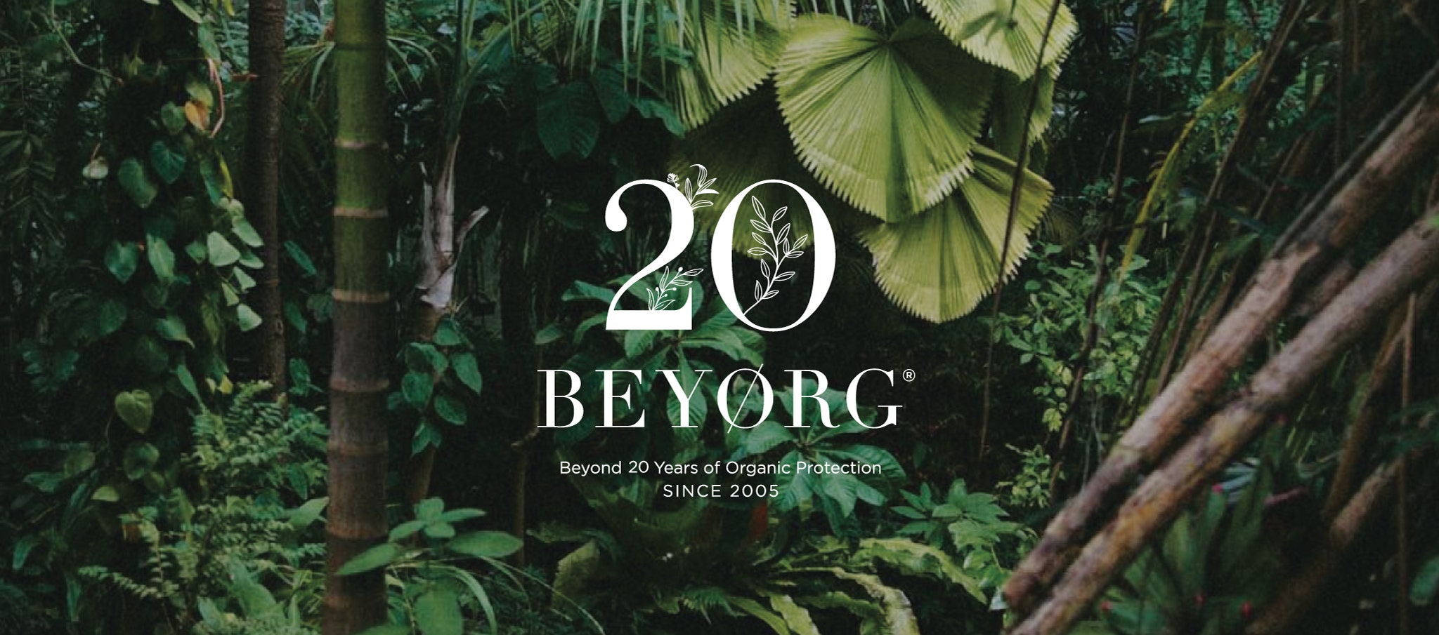 BEYORG 20th Anniversary